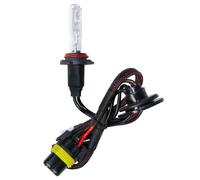 12/24V Lampadina HID Xenon 8.000K - H10 - 1 pz - Scatola