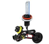 12/24V Lampadina HID Xenon 8.000K - H11 - 1 pz - Scatola
