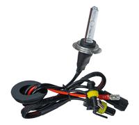 12/24V Lampadina HID Xenon 8.000K - H7 - 1 pz - Scatola