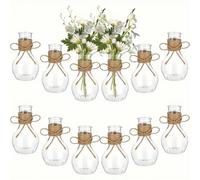 12/6/3/1 pezzo Vaso in stile vintage in plastica, contenitore per piante a bulbo rotondo, vaso cilindrico in plastica trasparente infrangibile, facile da pulire, vaso per bulbi, contenitore per propag