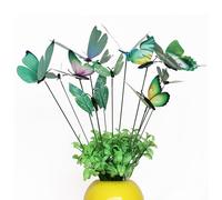 12 ali Di decorazioni Decorativo