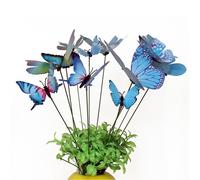 12 ali Di decorazioni Decorativo