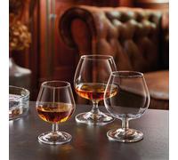 12 Bicchieri Degustation 25 cl Arcoroc Bicchiere Calice Cognac Brandy Vetro Bar
