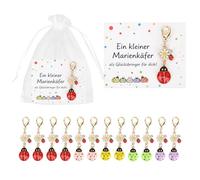 12 bomboniere di compleanno per bambini, bomboniere per 6, 7, 8 anni | Portachiavi portafortuna a forma di coccinella, 5 colori, piccoli regali, set regalo per 9 e 10 anni, per ragazze e ragazzi