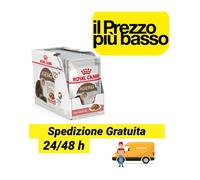 12 bustine bocconcini in salsa Royal canin Ageing 12+ gravy gatti anziani