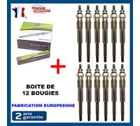 12 Candele Di Pre Riscaldamento Per Clio 2 Kangoo Megane 1,9 D 0100226245 Y506J