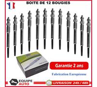 12 Candele Di Spine Pinze per Scudo Evasione Expert 307 2.0L HDI