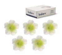 12 Decorazioni Azalee bianche con centro verde in zucchero Bakery