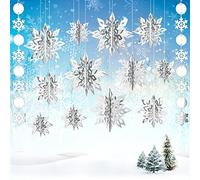 12 fiocchi di neve da appendere in 3D congelati, ghirlanda di fiocchi di neve fiocchi di neve d'argento per decorazioni invernali del paese delle meraviglie surgelate forniture per feste di compleanno