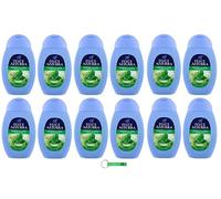 12 gel doccia Felce Azzurra menta e lime/inconfondibile profumo Doccia Gel 250 ml + portachiavi Beni Culinari
