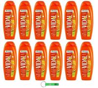 12 gel doccia Vidal Bagnodoccia/schiuma doccia con arancio e lime 250 ml + portachiavi Beni Culinari gratuito