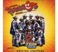 Banda Pequenos Musical - Vol. 2-12 Grandes Exitos