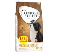 12 kg + 1,5 kg gratis! 13,5 kg Concept for Life Medium - Junior