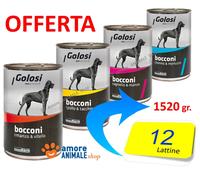 12 LATTINE - GOLOSI Dog Bocconi, Lattine 1250 gr → GUSTI Vari - Umido Cane
