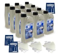 12 Litro Originale Opel 0W20 FS Ll Olio GM Dexosd OV0401547 Api Sn Plus Set