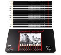 LAMXD 12 Matite da Disegno, Matita da Schizzo 8B 7B 6B 5B 4B 3B 2B B HB F H 2H