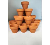12 Mini Vasetti per Semi da Germinazione in Terra Cotta, con Foro di Scarico, 12 Mini Vasi