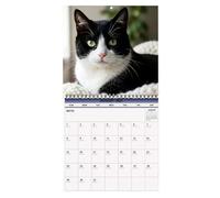 12-Month Cat Wall Calendar - Tear-Resistant Thick Black White Cat 2027