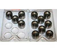 12 Nuovo Sollevatori Idraulici INA per VW VR6 2,8l 2,9l AAA Aes Abv 034109309AD