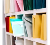 12 Pcs Organizzatore Di Documenti Borsa Portadocumenti Portatile