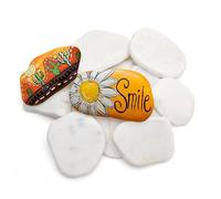 12 PCS Sassi da Dipingere Piatti,Ciottoli Decorativi,Sassi da Colorare per Bambini,3-8 cm Pietre Dipinte a Mano Ciottoli da Dipingere per la Pittura e la Decorazione a Colori