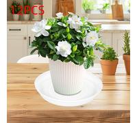 12 pezzi 11,81 "piante per gocciolamenti d'acqua per piante da esterno