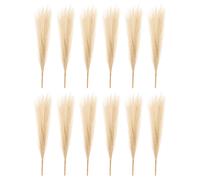 12 pezzi 17 pollici erba di pampa artificiale finta Boho Decor cachi