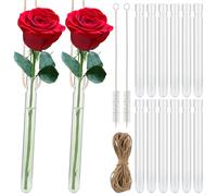 12 Pezzi Appese Provette Portaconfetti, Provette Vetro con Fori, Vaso per Fiori Trasparente, Vasi da Appendere Creative per la Casa, l'ufficio, la Decorazione di Nozze (1,5 * 15 cm)