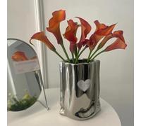 12 pezzi bulbi di cala sono perenni resistenti balcone giardino resistenti per giardino, bulbi Acónitos