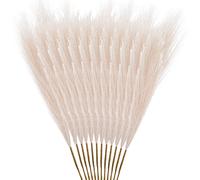 12 pezzi di erba finta della pampa, erba pomposa artificiale, rami di pompass finti, riempitivo per vasi, composizione floreale per casa, so