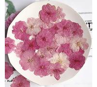 12 Pezzi di Fiori Pressati Secchi Naturali Sakura Pressata Fiore per Gli Adesivi per Unghie in Resina Artigianato Artigianato Fai da Te