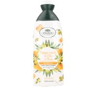 12 pezzi di l'angelica shampoo nutriente ml.250