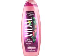12 pezzi di vidal bagno mure & musk ml.500