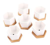 12 pezzi in 1 set vasi per piante grasse Mini fioriera succulenta fioriera in