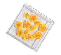 12 Pezzi Moda 3d Unghie Fascino Resina Rosa Camellia Nails Accessori MacNiure Nails Arte Per Le Unghie Di Moda Gli appassionati