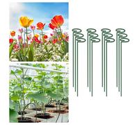 12 pezzi Piatto di piante in gioco di fiori robusti per i pomodori Marigold