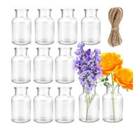 12 pezzi Vasi di Vetro Piccoli,vasi da fiori Tavola Decorazioni Matrimonio di Nozze, feste Vaso Vetro Trasparente Vasi Piccoli Decorativi, Centrotavola Vetro, Decorazioni Fiori