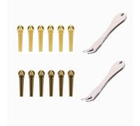 12 piroli in metallo per chitarra acustica, 2 perni per ponte in metallo, terminali dorati e color bronzo per chitarra acustica, strumento di rimozione dei perni del ponte, parti di ricambio per una