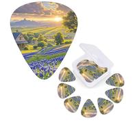 12 plettri per chitarra, 3 diversi spessori, plettri per chitarra Texas Bluebonnets Paesaggio personalizzato Chitarre Basso Plettro per chitarra elettrica con scatola di immagazzinaggio Plettro per