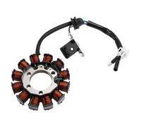 12 POLI STATORE VOLANO PER HONDA AFS 110 125 WAVE RSX 31120-K73-V41 H7