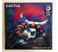 12" Purple Haze LP Vinyl Cactus Birth Of Cactus - 1970 Limitato - NN29