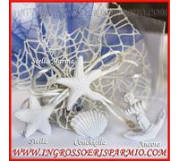 12 PZ GESSETTI ANCORA CONCHIGLIA STELLA TEMA MARE SEGNAPOSTO NOZZE FAI DA TE