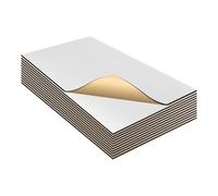 12 Pz Tappetino Insonorizzante 19.69"x11.81" per Auto 394mil 10mm Argento