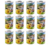12 pz Valfrutta Ananas allo Sciroppo frutta sciroppata barattolo lattina 565g
