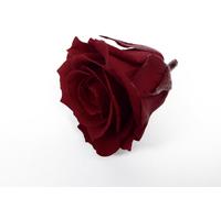 12 Rose Naturali Stabilizzate D.4 cm decorazione regalo san valentino