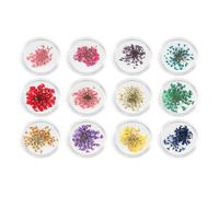 12 Scatole di Fiori Secchi per Unghie, Fiori Secchi per Artigianato in Resina 12 Colori Applique per Unghie 3D Nail Art Adesivi per Decorazione Fai Da Te Nail Art