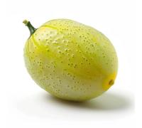 12 Semi di Cetriolo Limone - SemiSelvaggio Permacultura