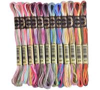 12 Skeins Variegate il filo di ricamo variegato, color ricamo a sei fili di colore magico, filo interdentale non fatta per il punto incrociato, l'ago, ricamato
