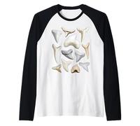 12 Tipi di Tabella di biologia educativa dei denti di squalo Maglia con Maniche Raglan