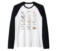 12 Tipi di Tabella di biologia educativa dei denti di squalo Maglia con Maniche Raglan